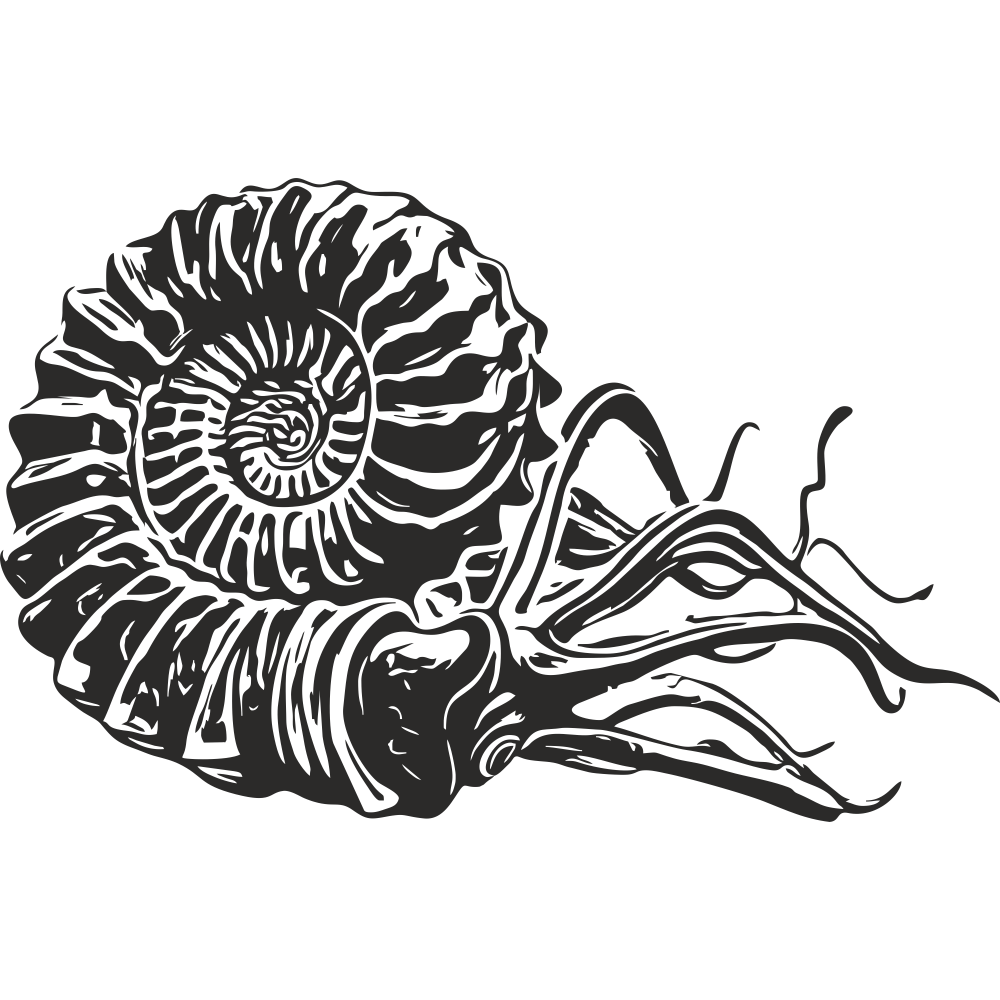 Black ammonite fossil wall decal – detailed spiral shell vinyl sticker for science-themed or nature-inspired decor.