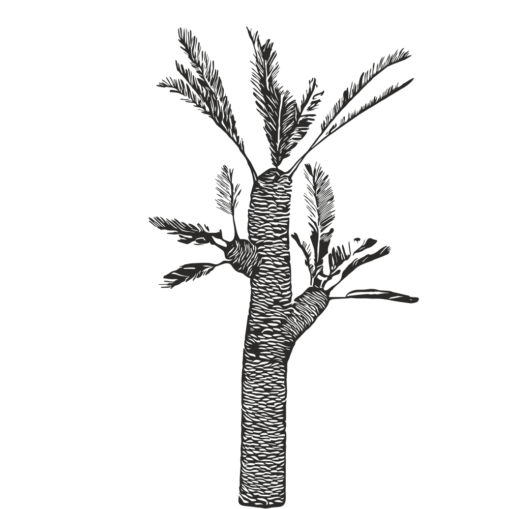 Lepidodendron wall decal in black – prehistoric tree vinyl sticker facing right