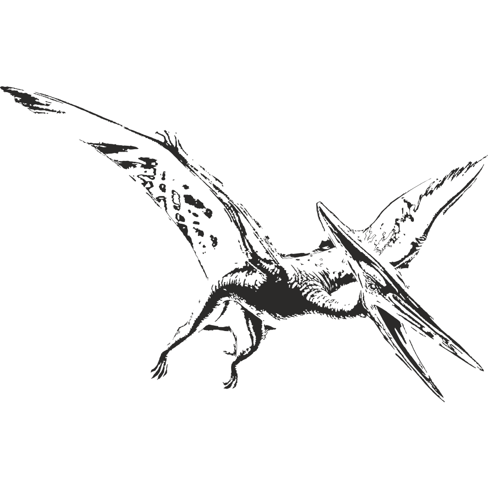 Black Pterodactylus vinyl wall decal facing right in flight – bold prehistoric flying reptile sticker