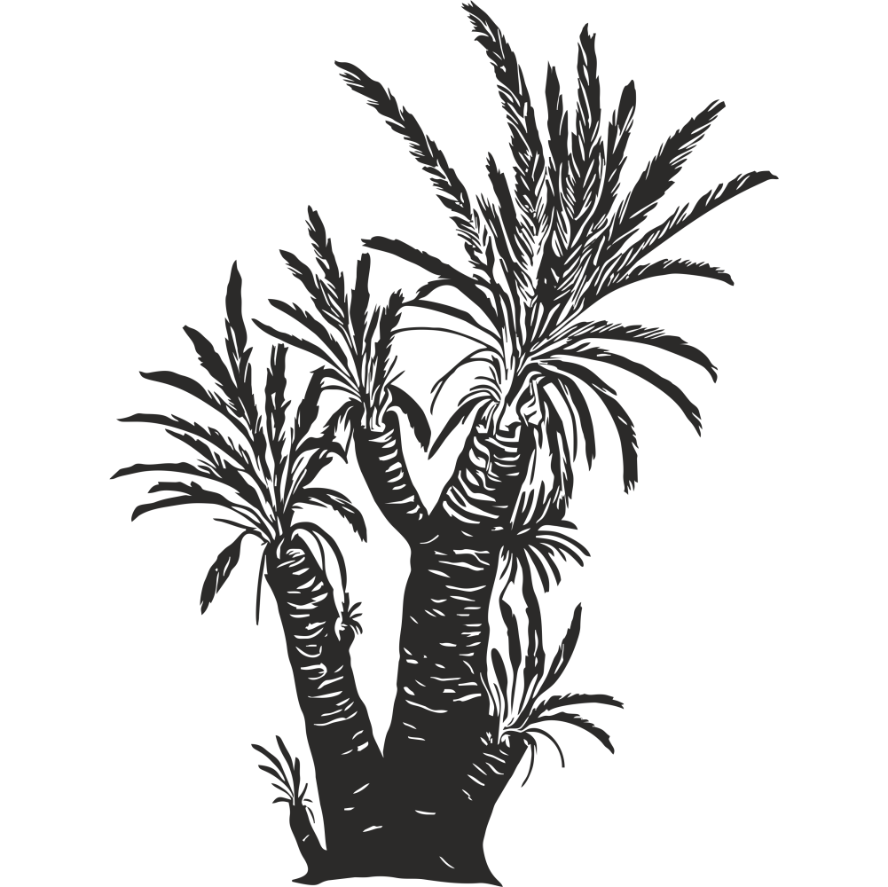 Williamsonia prehistoric plant wall decal in black – Jurassic vinyl botanical sticker for kids’ rooms or nature-themed decor