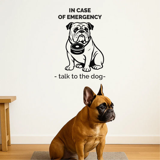 Alexa Bulldog wall decal above a French bulldog sitting on a grey rug – humorous hallway decoration