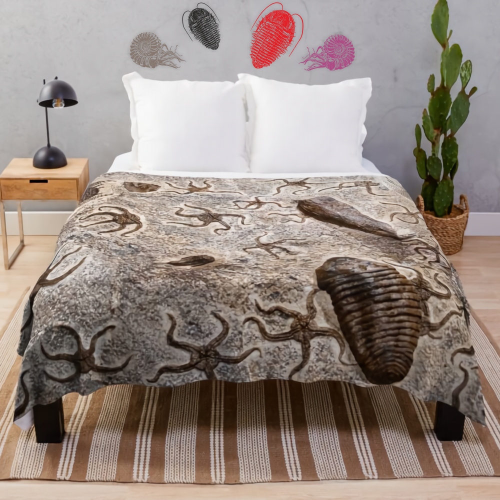 Ammonite and trilobite fossil wall stickers above bed with spiral fossil bedding – prehistoric-themed bedroom decor for nature lovers.