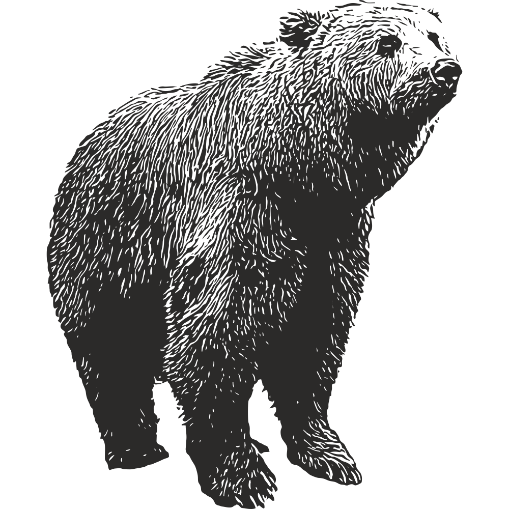 Black bear wall decal facing left – detailed wildlife sticker for walls or furniture.