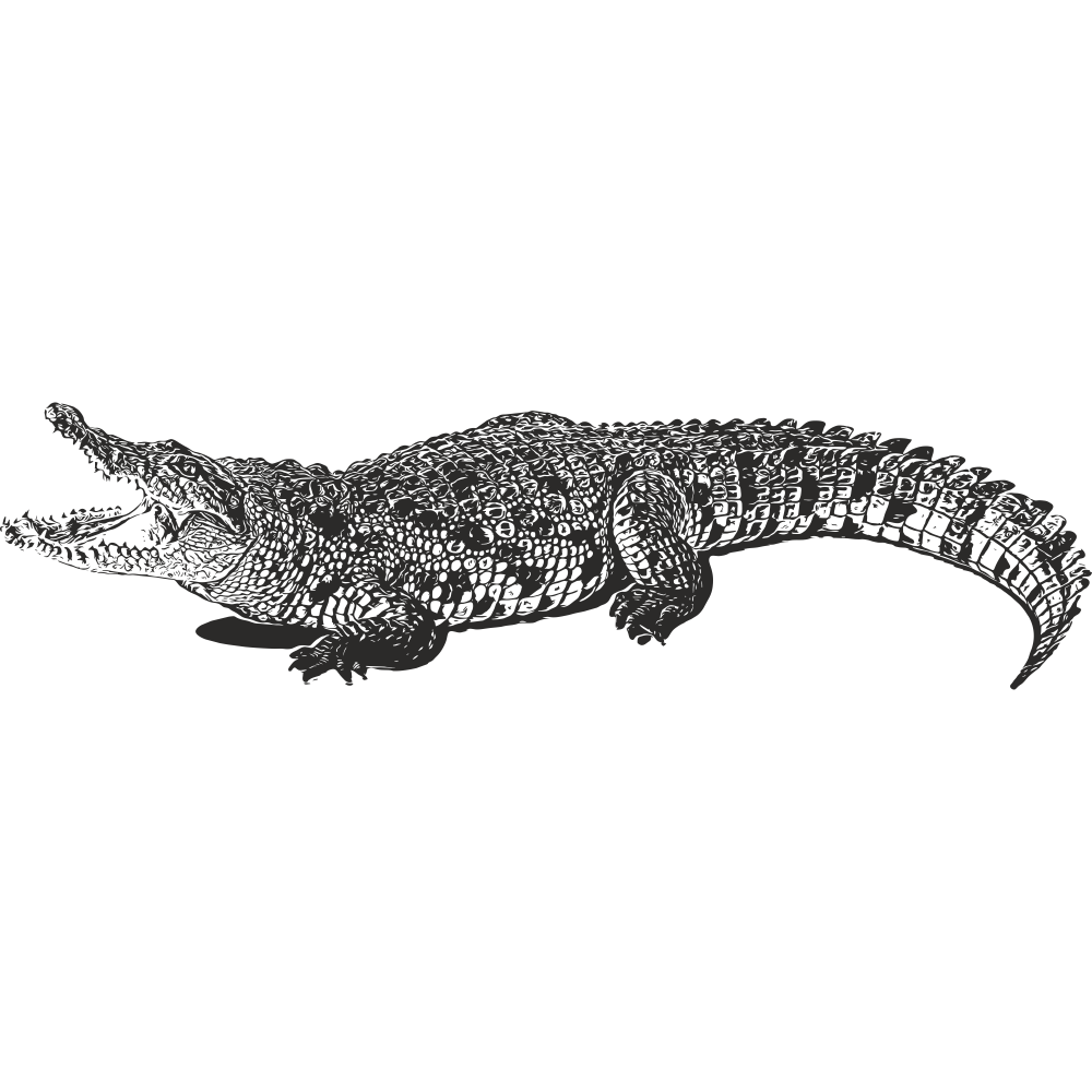 Black Crocodile Wall Decal – Left Facing – Fierce Vinyl Animal Sticker for Bold and Wild Interior Style – Art Decals