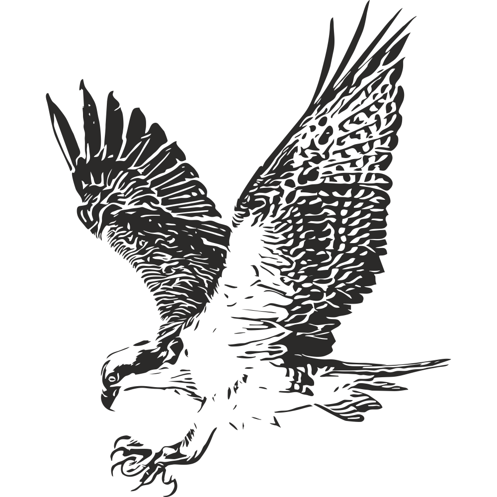 Eagle Wall Decal – Black Vinyl Sticker, Left Facing – Art Decals