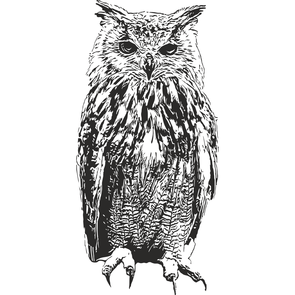Black Owl Wall Decal – Perched Vinyl Bird Sticker for Calm and Elegant Interiors – Art Decals