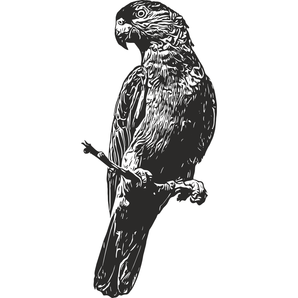 Black Parrot Wall Decal – Left-Facing Bird Sticker for Elegant Interiors – Art Decals