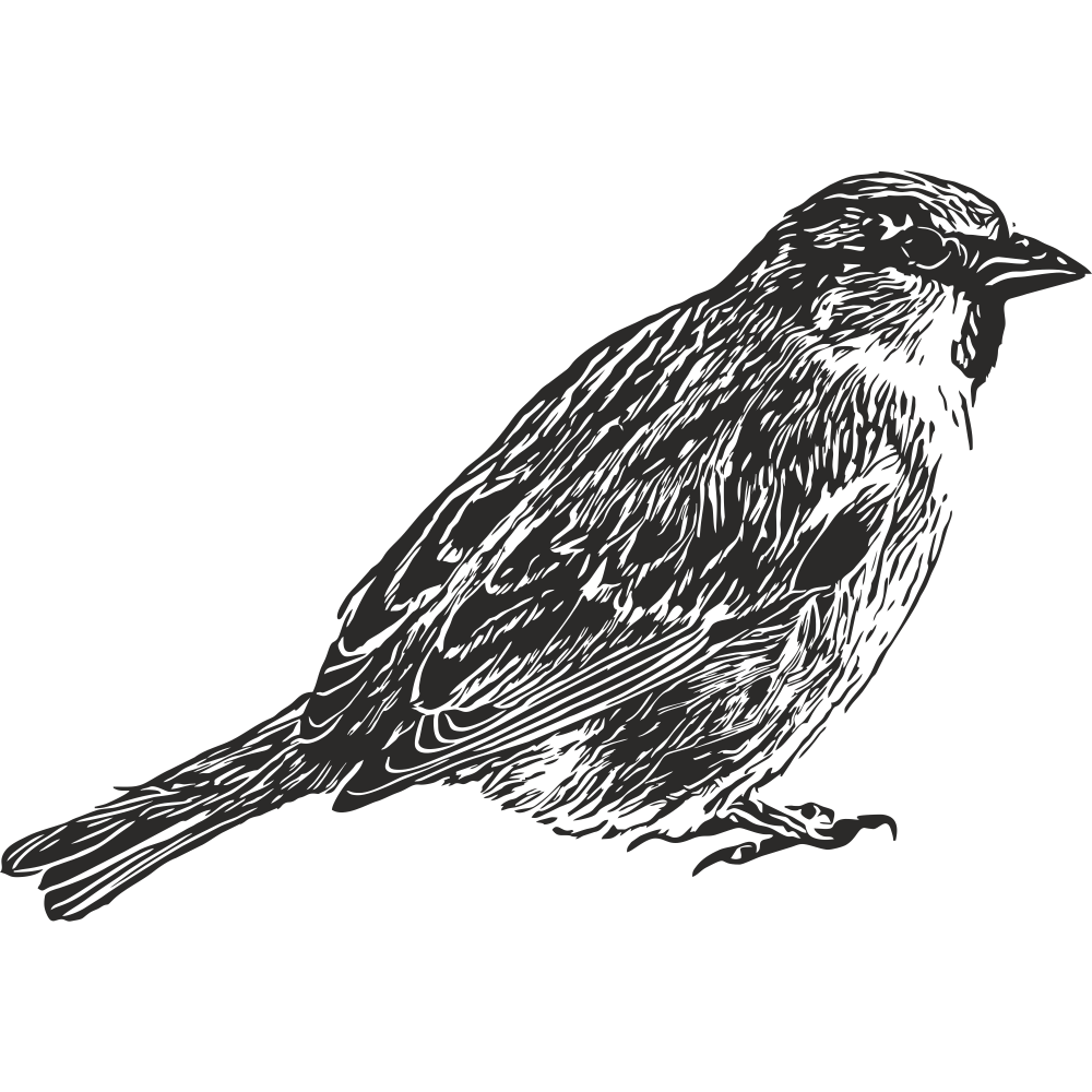 Black Sparrow Wall Decal – Right-Facing Vinyl Bird Art for Home – Art Decals