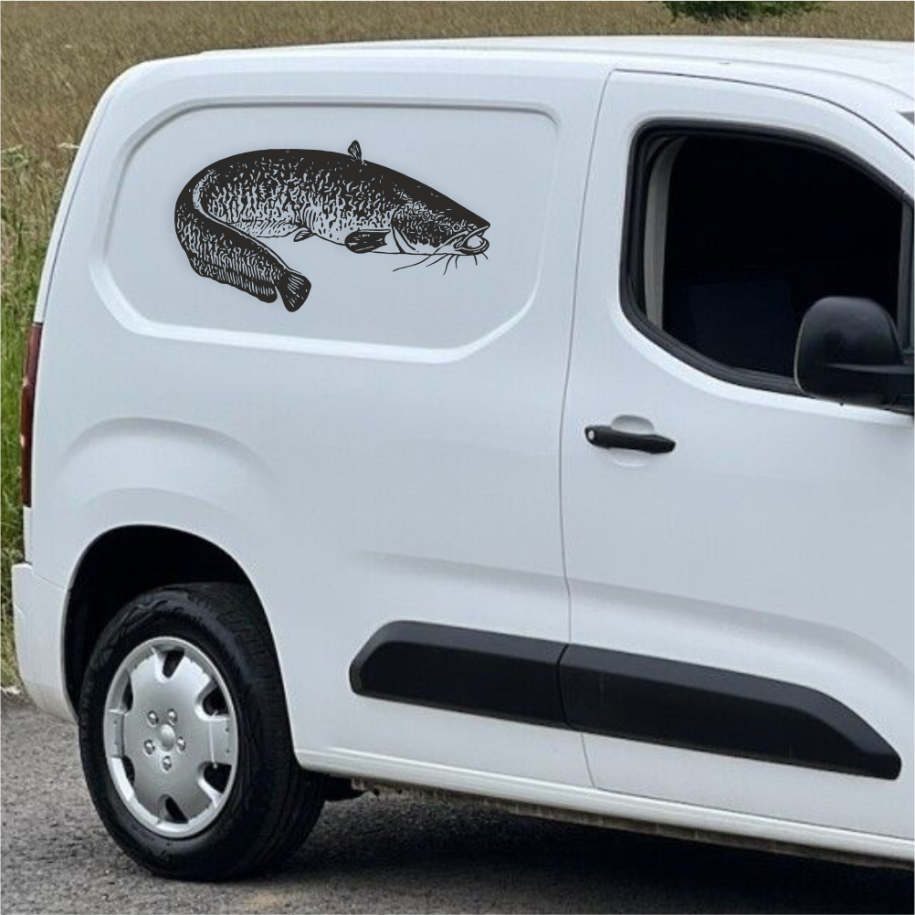 Catfish vinyl decal applied on white van – fishing vehicle sticker for anglers.