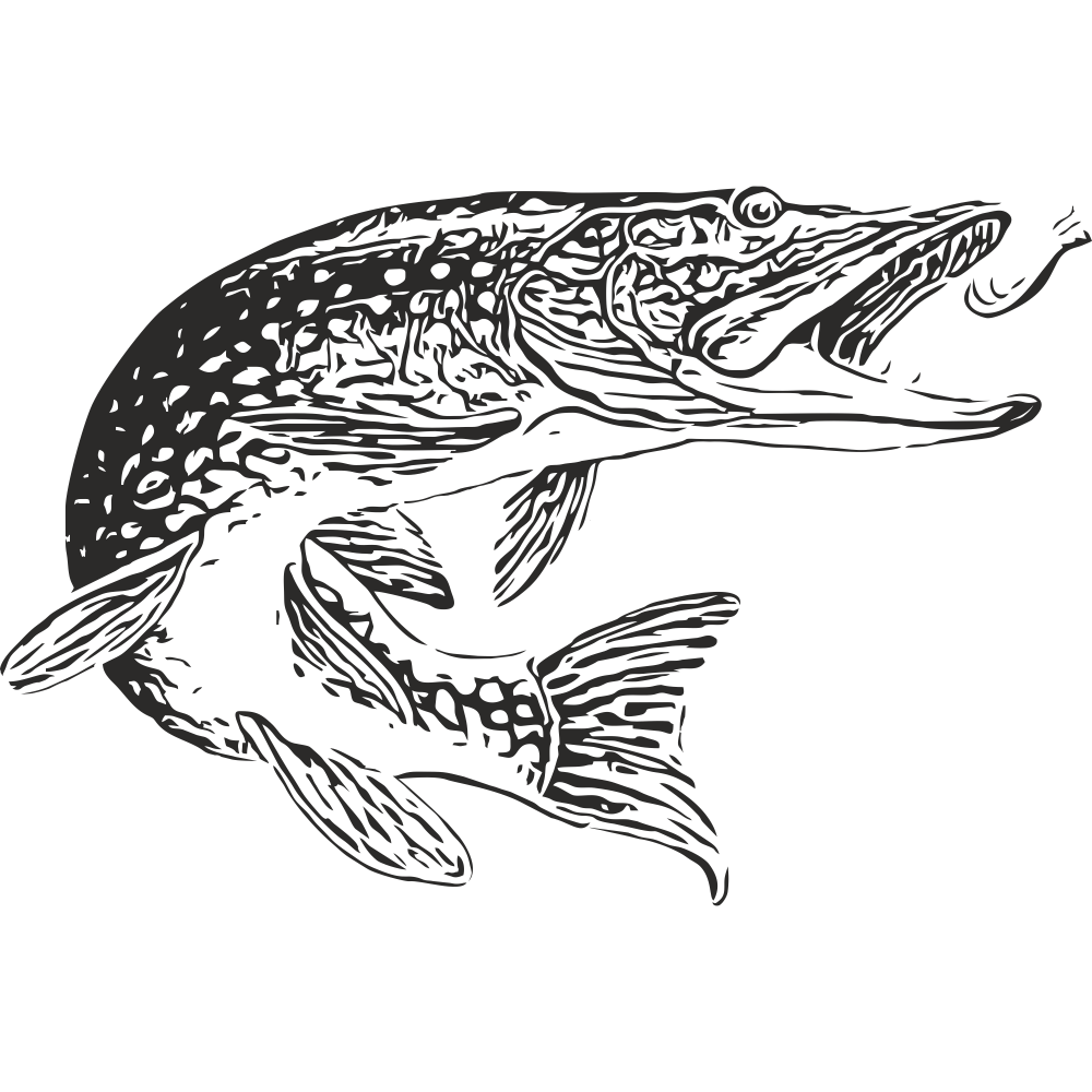 Pike fish vinyl wall decal in black – detailed fishing sticker product image on transparent background.