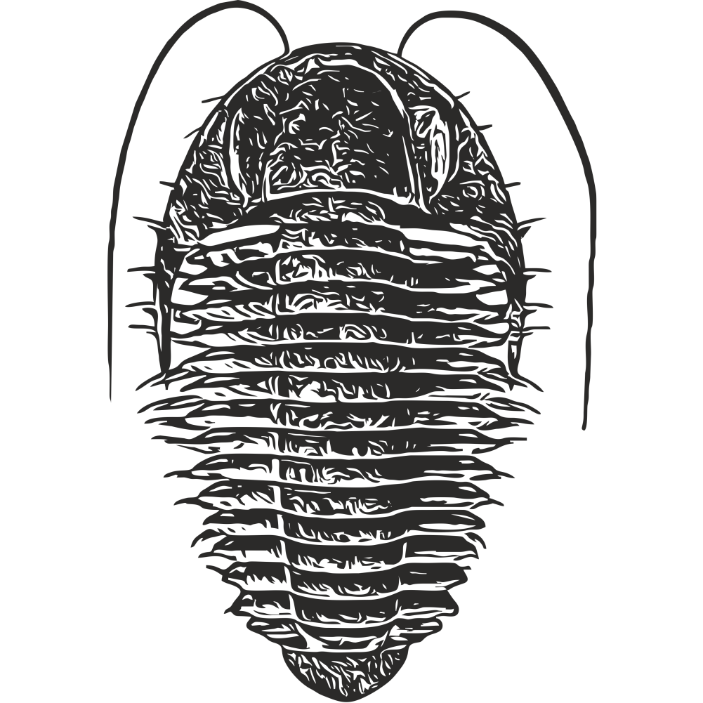 Detailed trilobite fossil vinyl wall decal – prehistoric science-themed sticker for kids and fossil enthusiasts