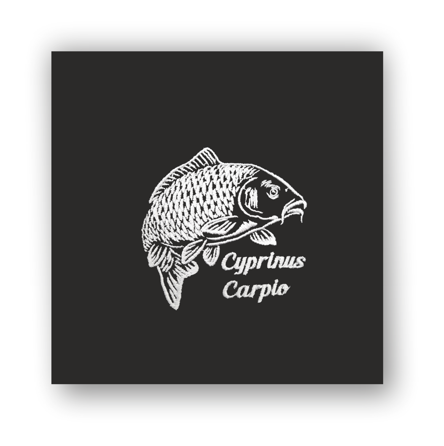 Carp – Fishing Line
