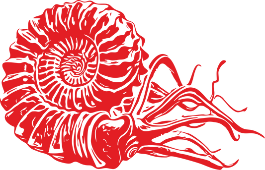 Right-facing ammonite fossil decal in red – vibrant spiral fossil vinyl sticker