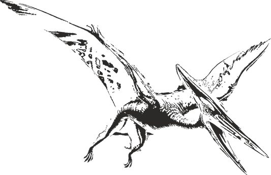 Black Pterodactylus dinosaur wall decal – flying prehistoric reptile vinyl sticker