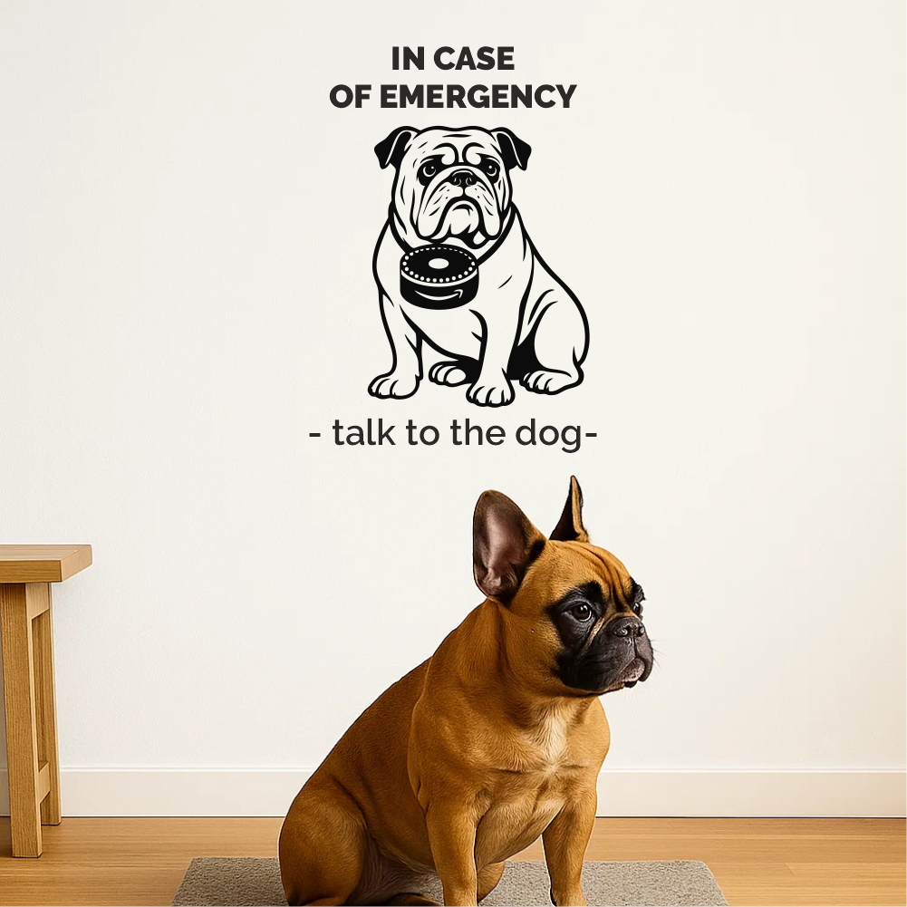 Alexa Bulldog wall decal above a French bulldog sitting on a grey rug – humorous hallway decoration