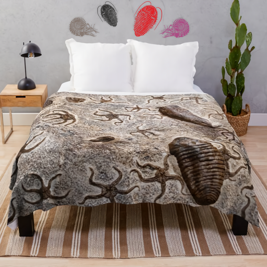 Ammonite and trilobite fossil wall stickers above bed with spiral fossil bedding – prehistoric-themed bedroom decor for nature lovers.