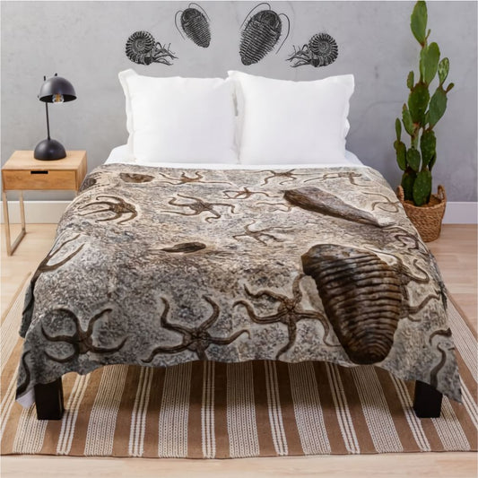 Ammonite wall decal above bed in modern bedroom – prehistoric fossil wall art