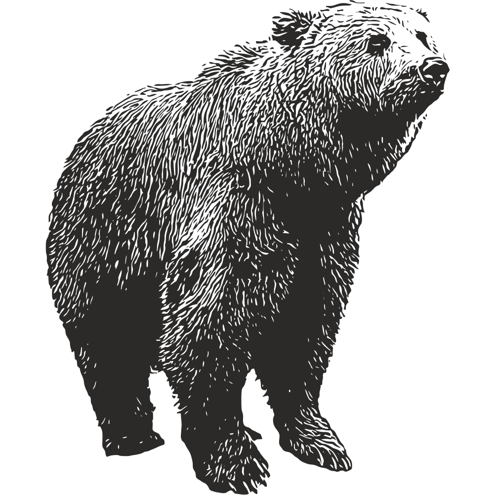 Bear wall decal – woodland animal wall art