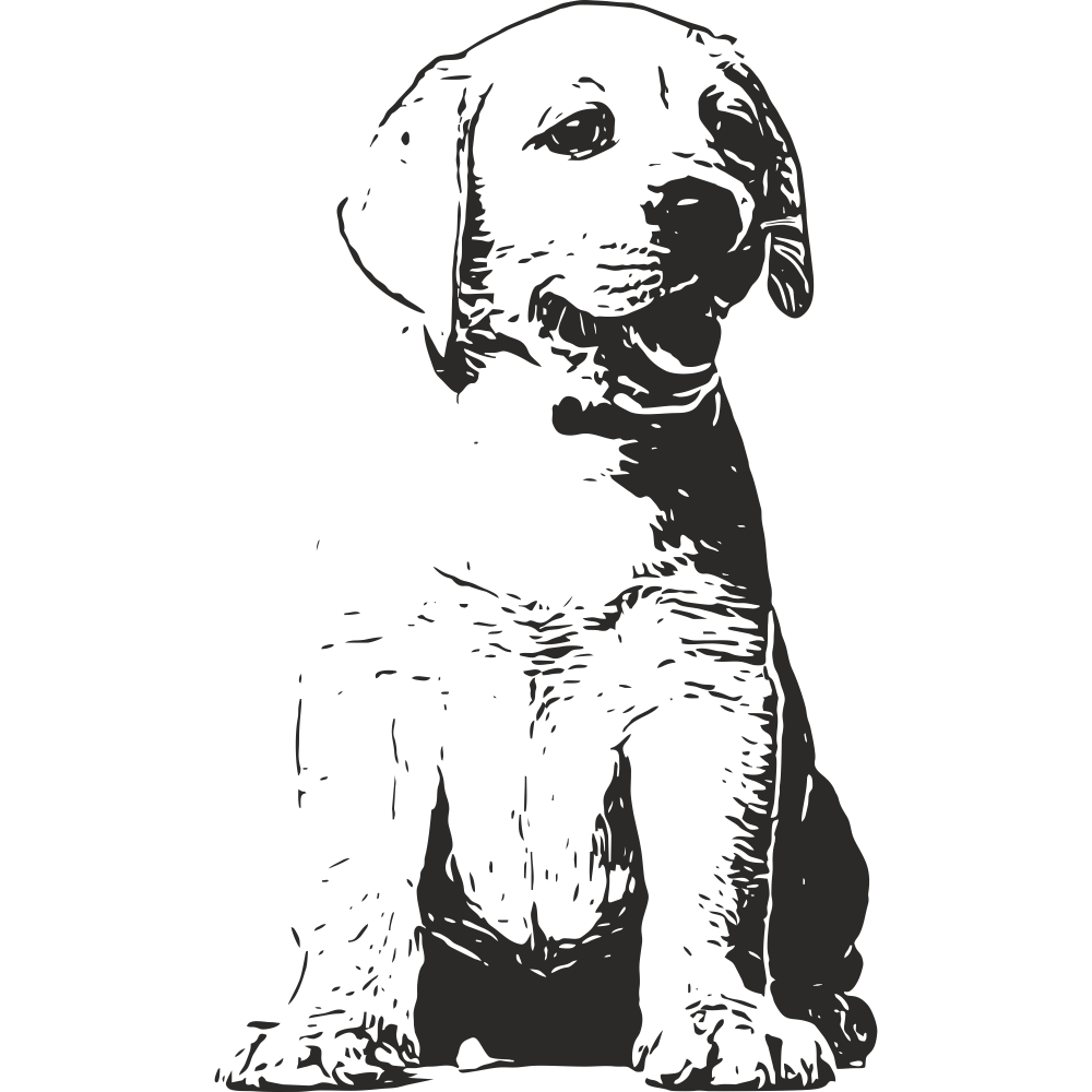Black Labrador Retriever Puppy Wall Decal – Right Facing – Adorable Dog Vinyl Decor for Home Interiors – Art Decals