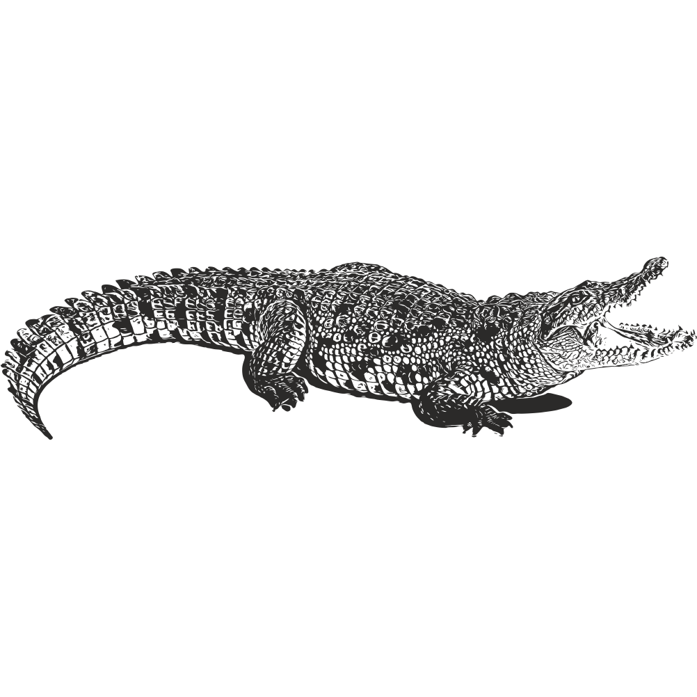 Crocodile wall decal – wild animal wall art
