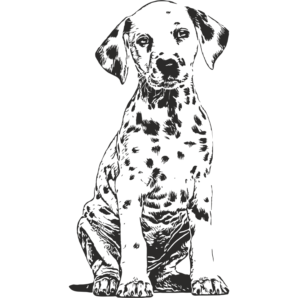 Dalmatian puppy wall decal – dog wall art