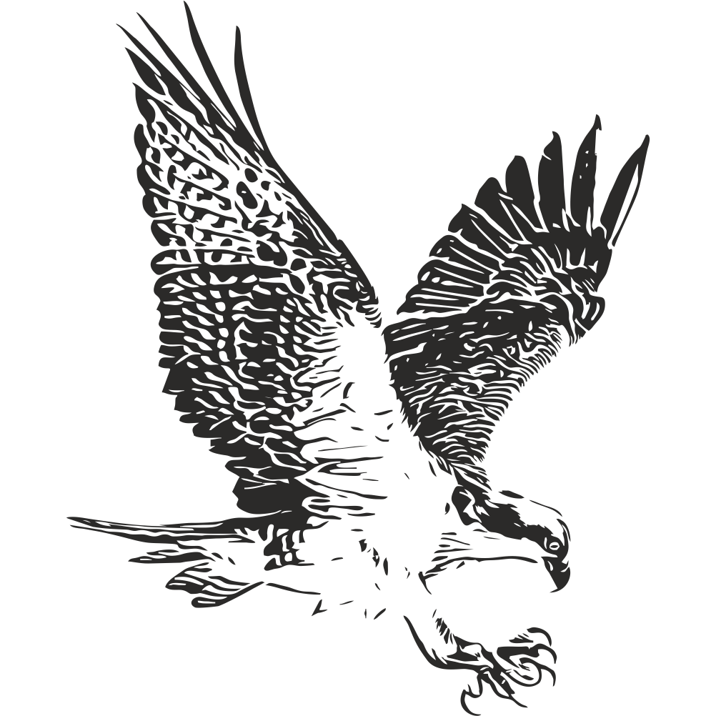 Eagle wall decal – bird wall art
