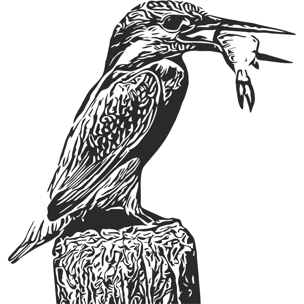 Kingfisher wall decal – bird wall art