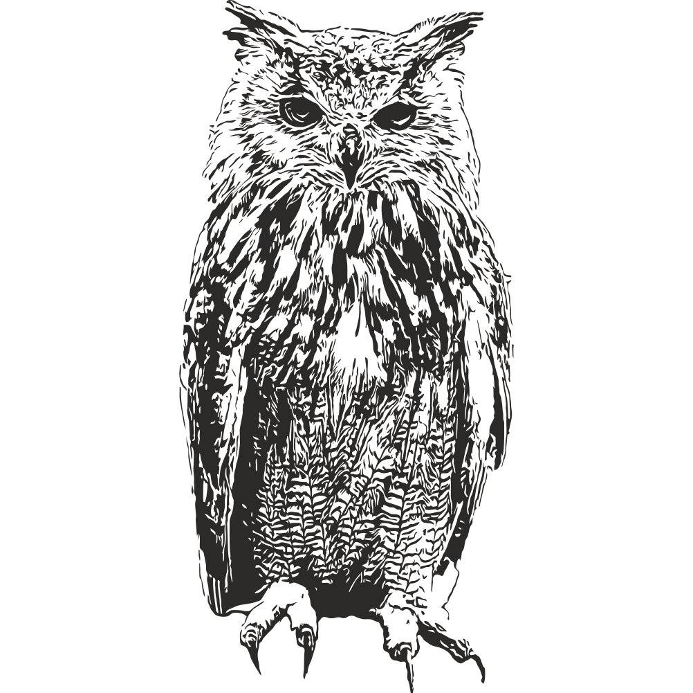 Owl wall decal – bird wall art