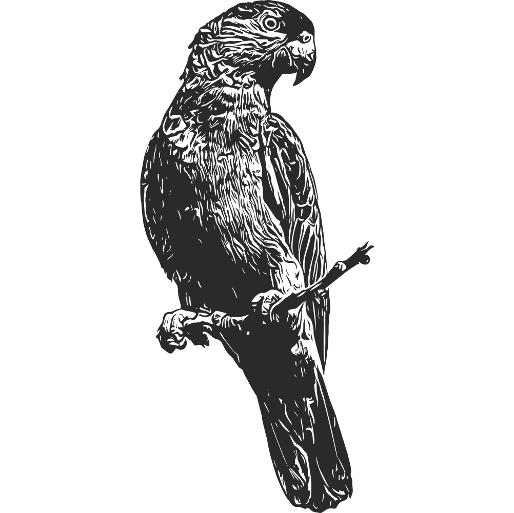 Parrot wall decal – bird wall art