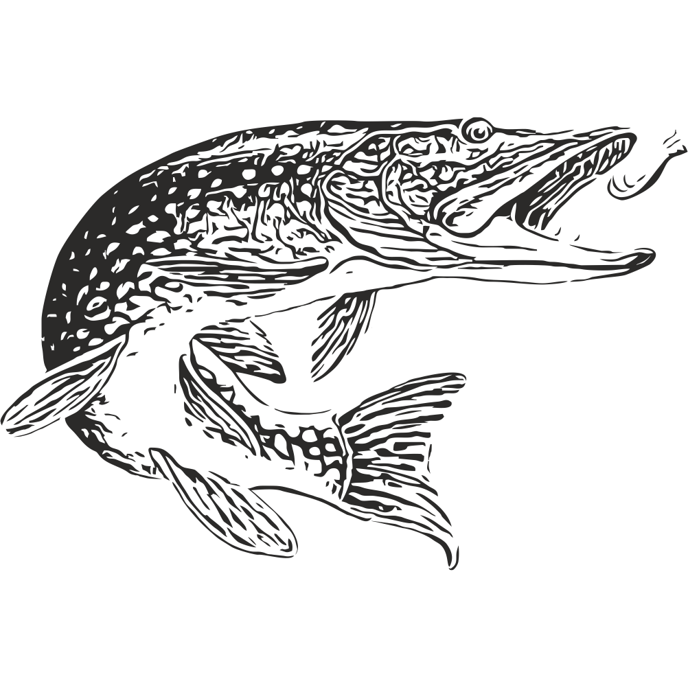 Pike fishing decal with detailed realistic pike illustration