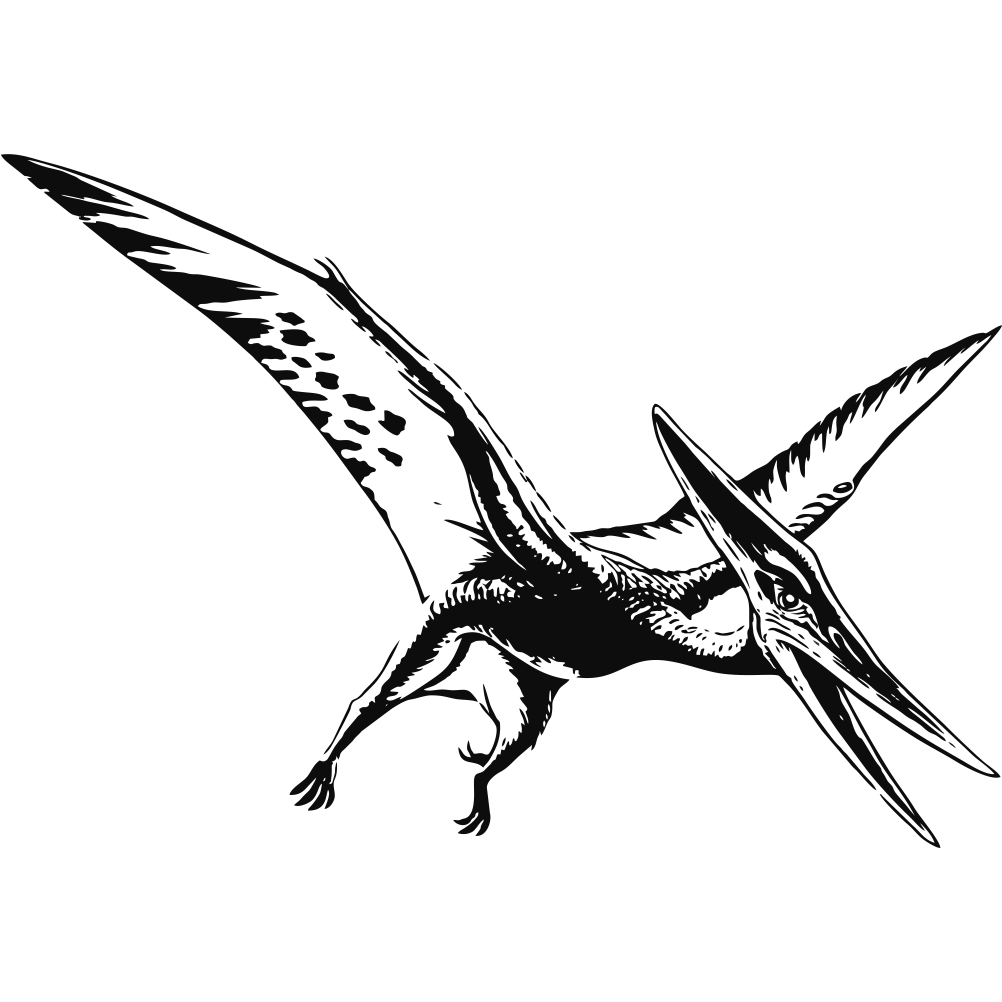 Pterodactylus wall decal prehistoric flying reptile illustration