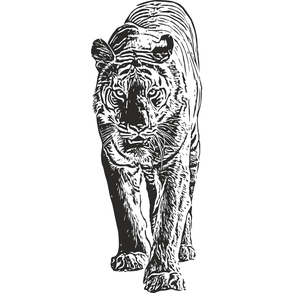 Tiger wall decal – wildlife wall art