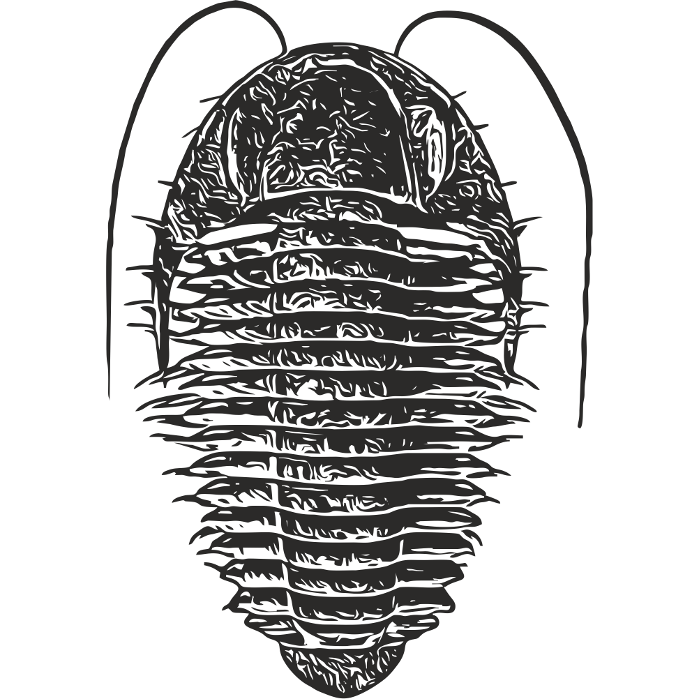 Trilobite prehistoric fossil wall decal design illustration