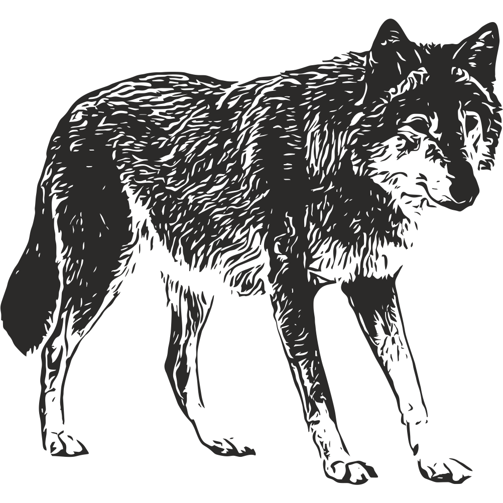 Wolf wall decal – wildlife wall art